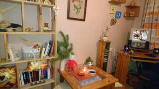 Проживание в семье Single room occupancy. Киев Двухместный номер с 1 кроватью-17